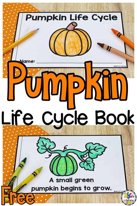 Pumpkin Life Cycle Book Printable